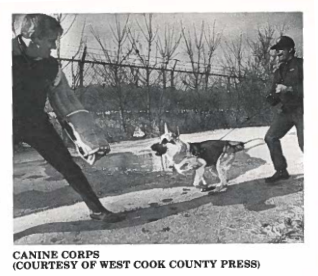 Canine Corps- Historical Photo
